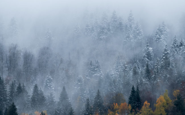 Frédéric-Demeuse-photography-landscape-autumn