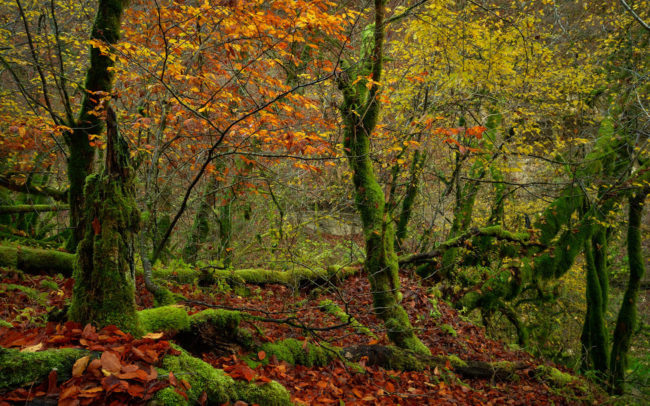 Frederic Demeuse-photography-forgotten-places-Doubs