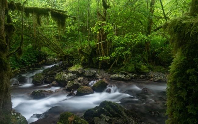 Frédéric-Demeuse-forgotten-places-river-Pyrenees