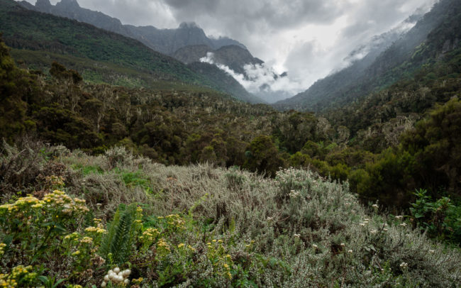 Frédéric-Demeuse-landscape-photography-mountain-photography-rwenzori