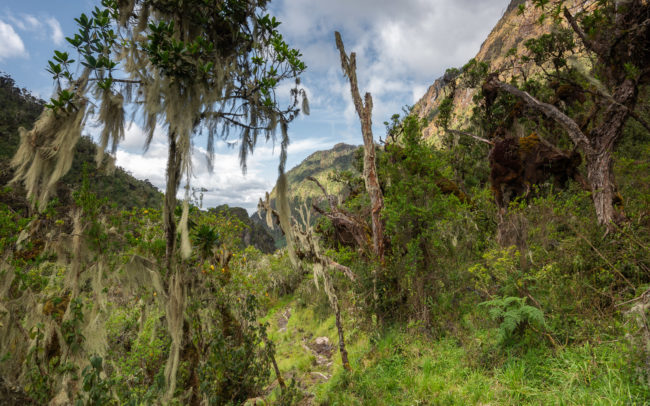 Frédéric-Demeuse-photography-mountain-photography-rwenzori-uganda-africa