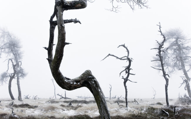 Frédéric Demeuse-landscape-photography-Hautes-Fagnes-Belgique