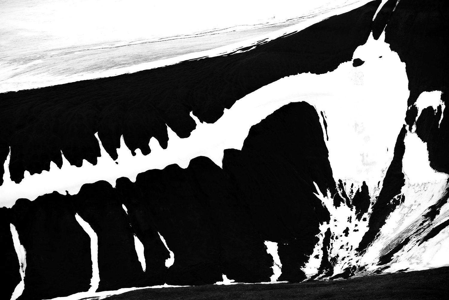 Frederic-Demeuse-nature-photography-natural-elements-snow