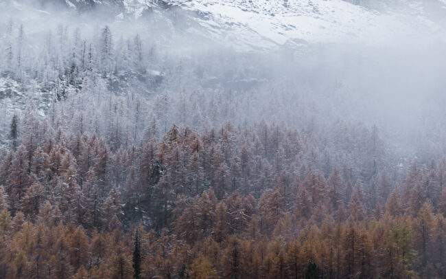 Frédéric Demeuse Photography-lands-Gran paradisao-Val d'Aosta