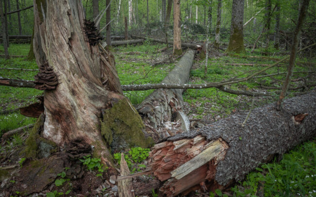 Frederic Demeuse Forgotten Places Photography