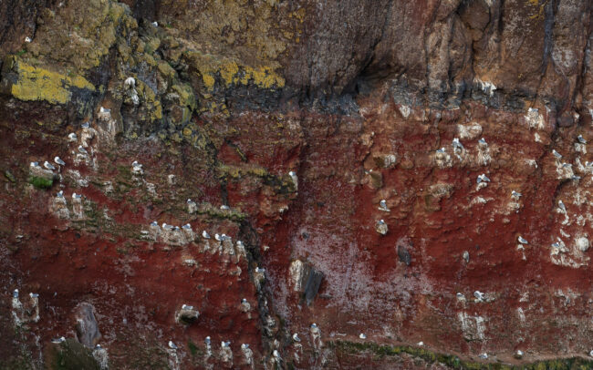 Frederic Demeuse photography-Lands-birdcliff-iceland