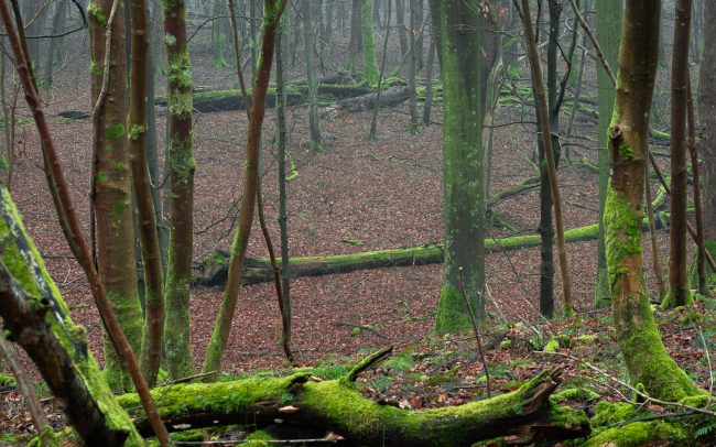 Frederic Demeuse Photography-Forgotten Places