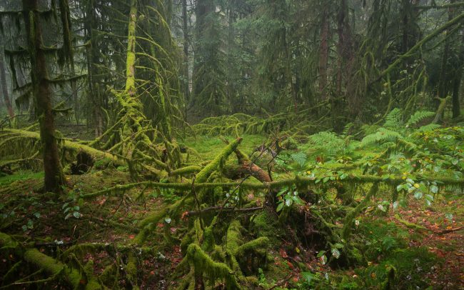 Frederic Demeuse Photography-Forgotten Places-2