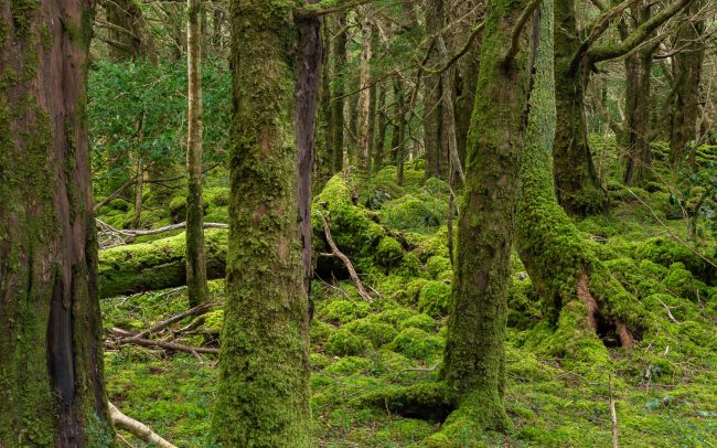 Frederic Demeuse Photography-Forgotten Places-2