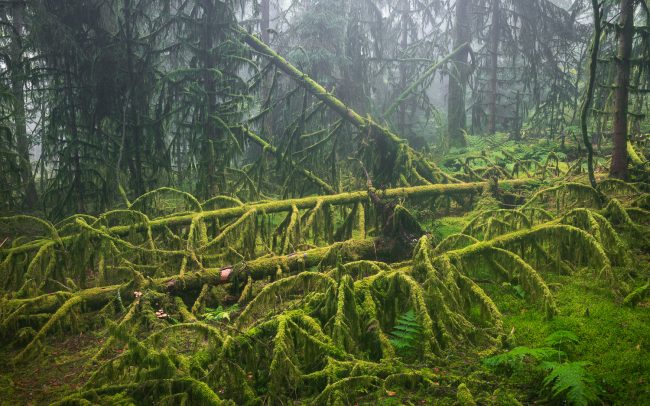 Frederic Demeuse Photography-Forgotten Places-4