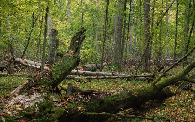 Frederic Demeuse Photography-Forgotten Places