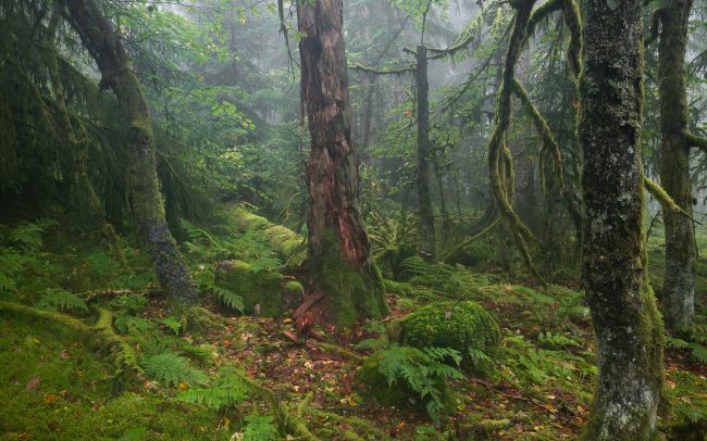 Frederic Demeuse Photography-Forgotten Places-2