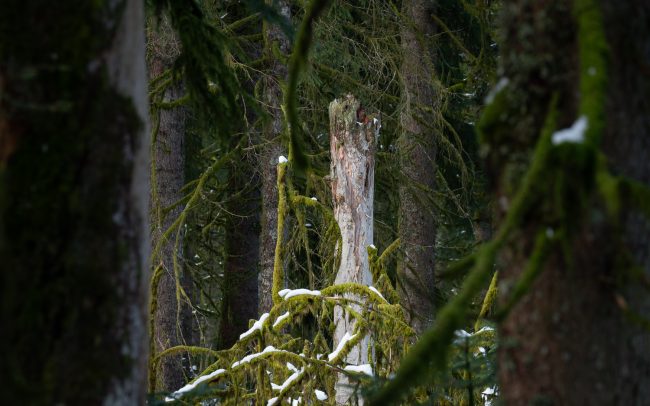 Frederic Demeuse-Forgotten Places-3
