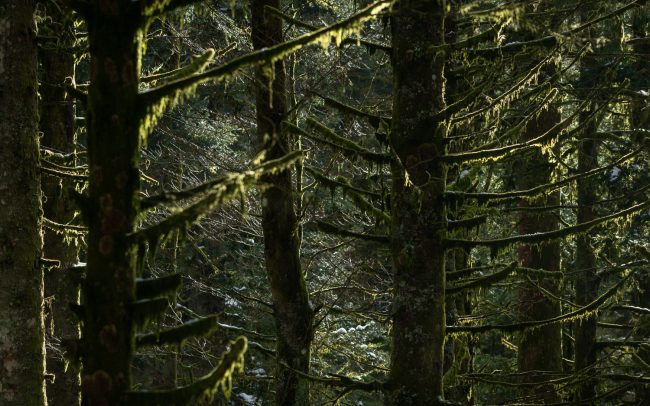 Frederic Demeuse-Forgotten Places-3