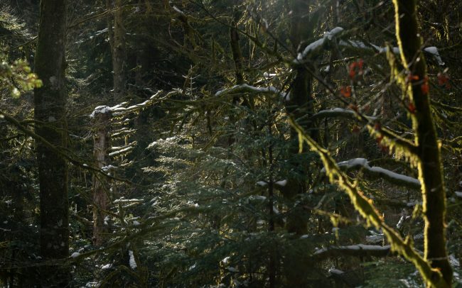 Frederic Demeuse-Forgotten Places-12