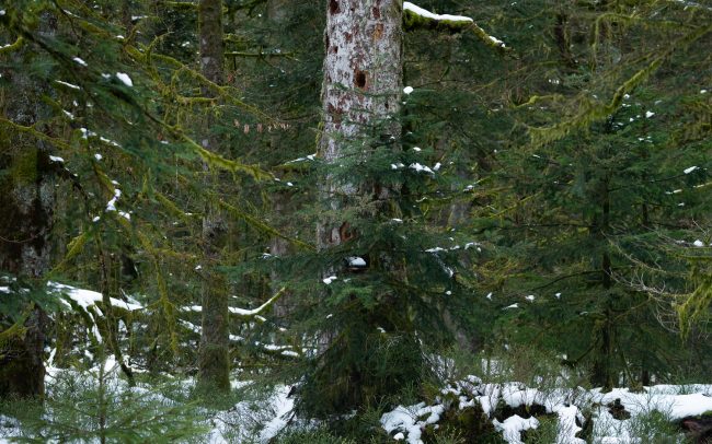 Frederic Demeuse-Forgotten Places-3