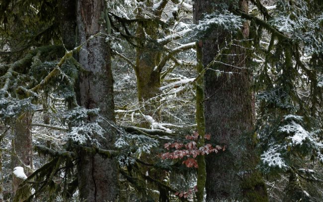 Frederic Demeuse-Forgotten Places-3