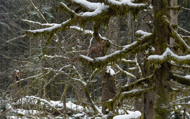 Frederic Demeuse-Forgotten Places-3