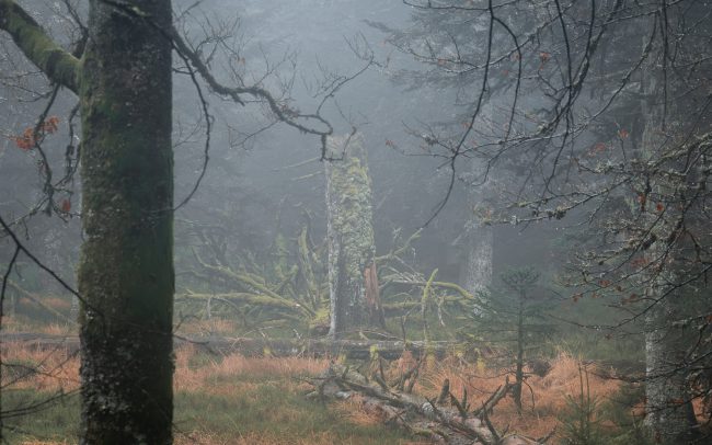 Frederic Demeuse-Forgotten Places