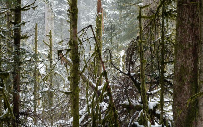 Frederic Demeuse-Forgotten Places-3