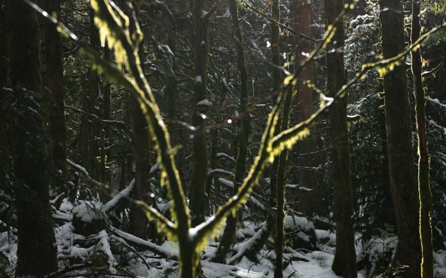 Frederic Demeuse-Forgotten Places-3