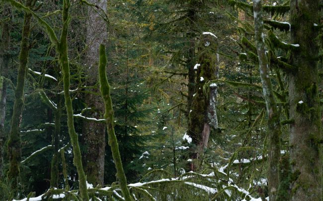 Frederic Demeuse-Forgotten Places-3