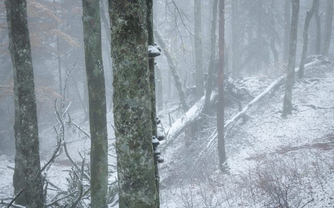 Frederic Demeuse Photography-Forgotten Places-winter