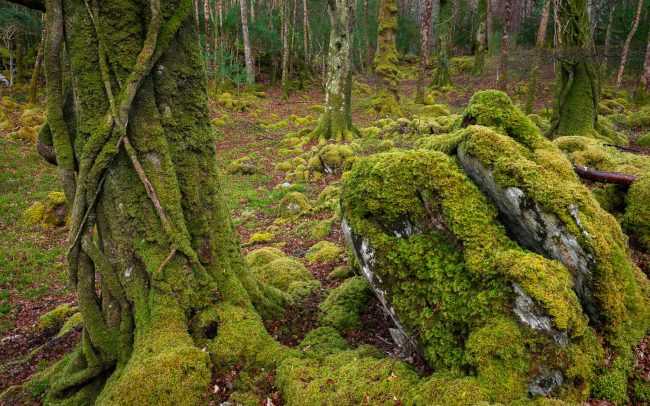 Frederic Demeuse Photographie