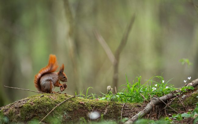 Frederic Demeuse Photographie